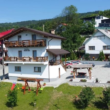 Pensiunea Hantig Tura Borşa Exterior foto