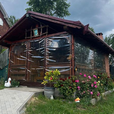 Pensiunea Hantig Tura Borşa Exterior foto