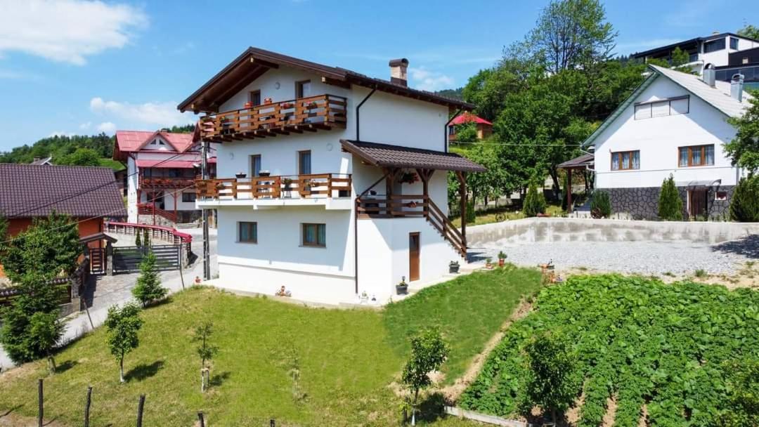 Pensiunea Hantig Tura Borşa Exterior foto