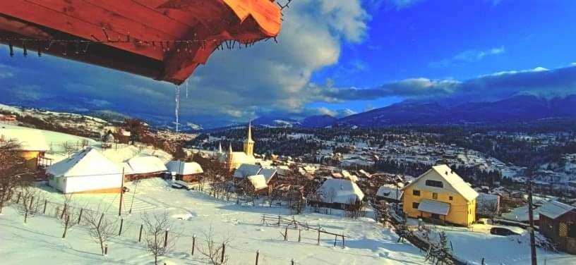 Pensiunea Hantig Tura Borşa Exterior foto