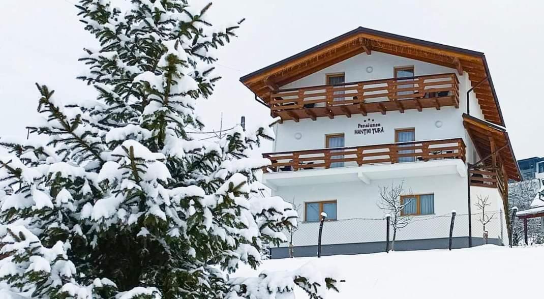 Pensiunea Hantig Tura Borşa Exterior foto